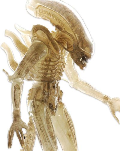 NECA 异形 1/4 比例半透明概念原型套装 动作人偶