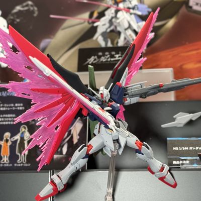 HG 1/144 命运高达规格二 [决战配色]