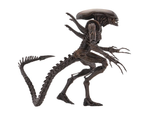 NECA 异形 - 7 英寸比例可动人偶 - 第 14 系列 - 异形复活战士