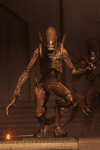 NECA 异形 - 7 英寸比例可动人偶 - 第 14 系列 - 异形复活战士