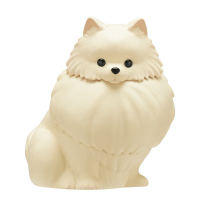 佩戴闪亮项圈 漫步的星光博美