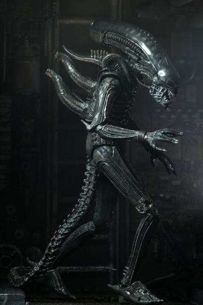 NECA《异形》40周年纪念终极版大型异形（Big Chap）