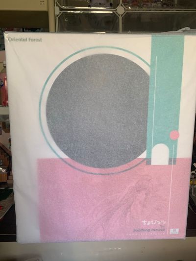 人形电脑天使心 小叽 微风习习