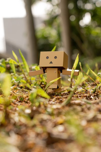 玩具箱里乱扔也OK软胶2  四叶妹妹！ 阿楞