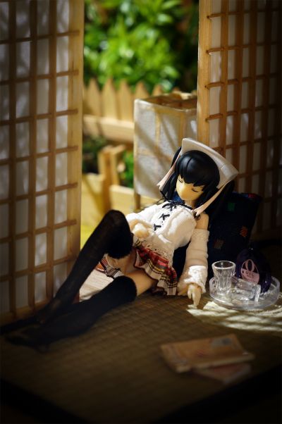 武装神姫 安瓦尔 Mk.2 暴风