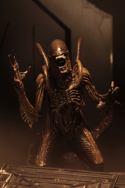 NECA 异形 - 7 英寸比例可动人偶 - 第 14 系列 - 异形复活战士