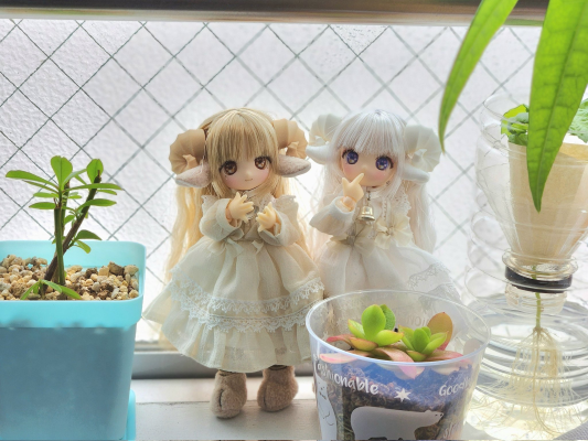 DIA002-MAN DiAS MUGUET×AkaiCamera Nemu/～睡觉的小羊羔～ AZONE网上商店限定