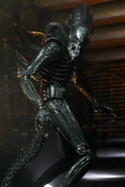 NECA《异形》40周年纪念终极版大型异形（Big Chap）