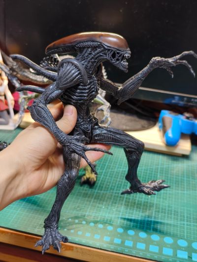 SSS系列 异形