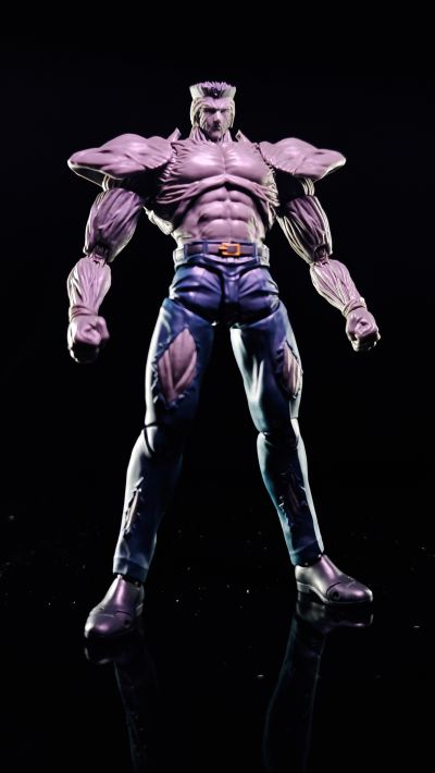 S.H.Figuarts  户愚吕弟100％