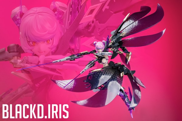 萝莎计划 星花·黑鸢尾