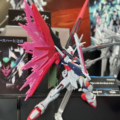 HG 1/144 命运高达规格二 [决战配色]