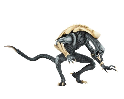 NECA - 异形大战铁血战士（街机版）- 7英寸比例可动人偶 - 蛹化异形