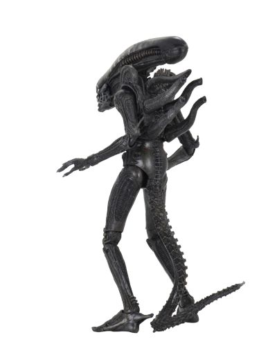 NECA《异形》40周年纪念终极版大型异形（Big Chap）