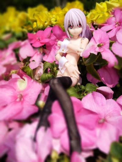 武装神姫 安瓦尔 Mk.2 暴风