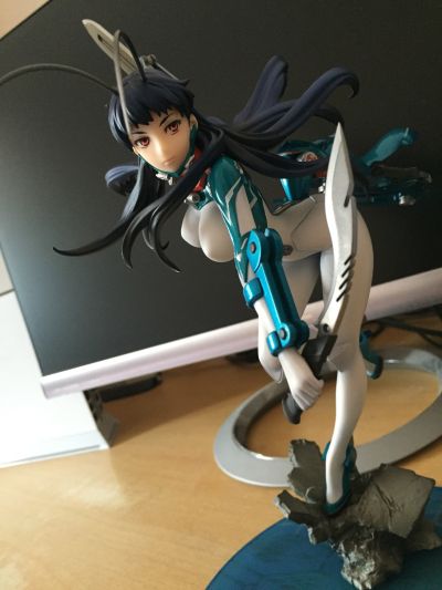 雏蜂白桦