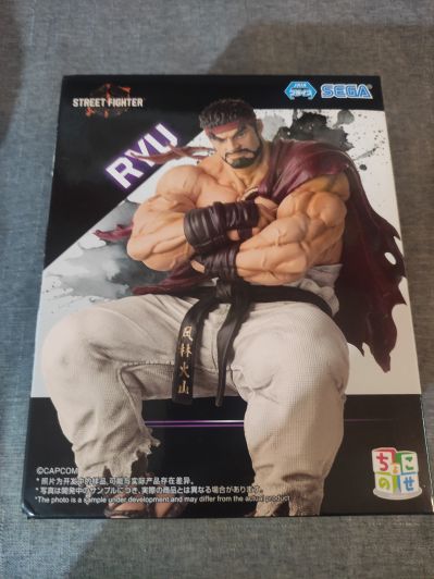 街霸6 小坐系列奖品人偶 “隆”