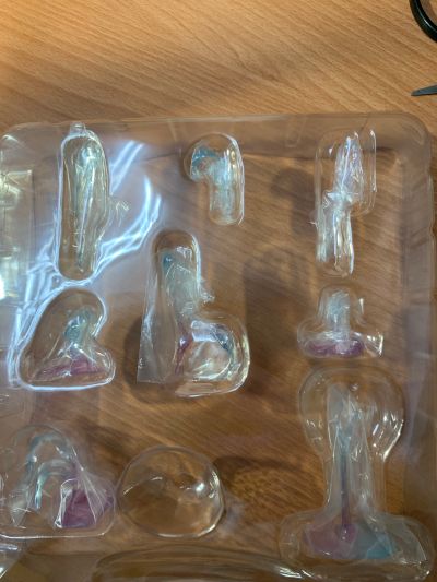 王者的求婚 鸨岛喰良