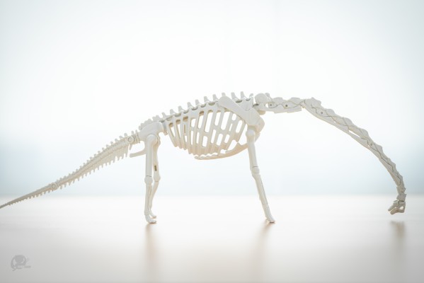 恐龙拼装模型 腕龙