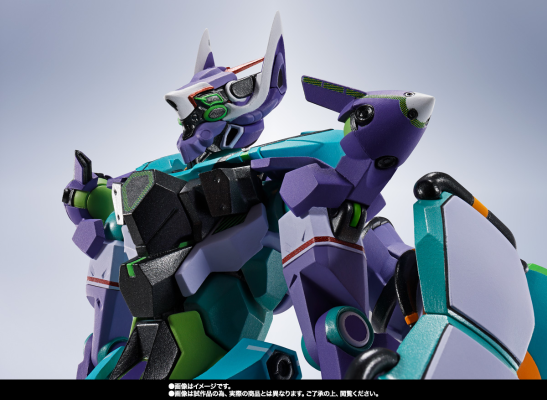 METAL ROBOT魂 ＜机动战士系列＞ 弗雷德高达（暂译）