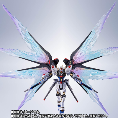 METAL ROBOT魂 ＜机动战士系列＞ 强袭自由高达［Re:Coordinate］专用光之翼与高速火力全开特效配件包