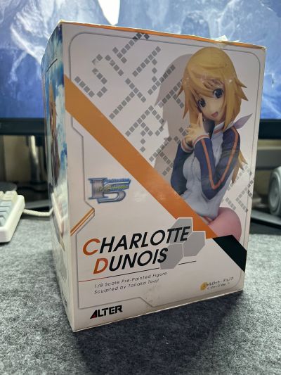 IS〈无限斯特拉托斯〉夏洛特・迪诺亚 运动装