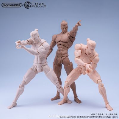 1/12超可动男素体