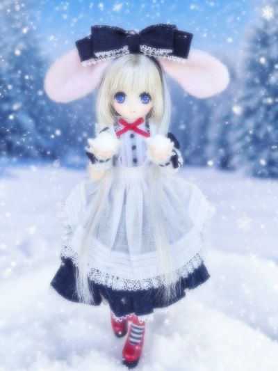 Picco Ex☆Cute / 姫乃 经典兔子 ～爱丽丝漫游派对～ 1.1版 AZONE大阪店开业14周年纪念