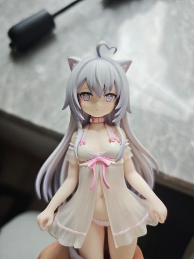家有猫猫  糯米米&手感漆