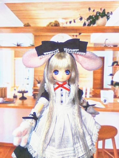 Picco Ex☆Cute / 姫乃 经典兔子 ～爱丽丝漫游派对～ 1.1版 AZONE大阪店开业14周年纪念