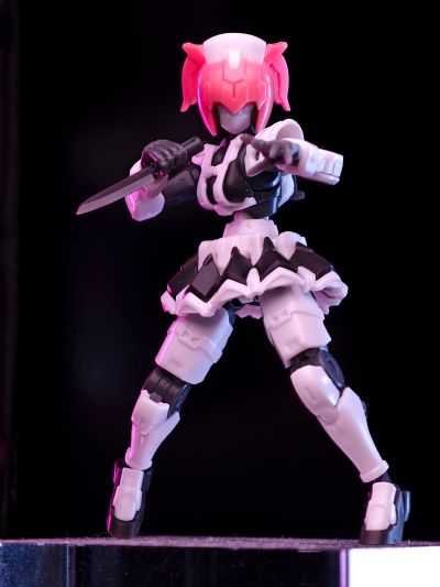 HMM系列 ZOIDS RZ-046 高速影狐