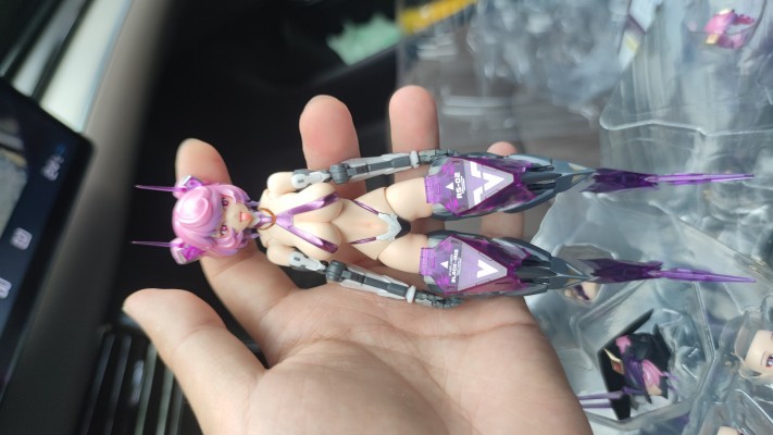 萝莎计划 星花·黑鸢尾