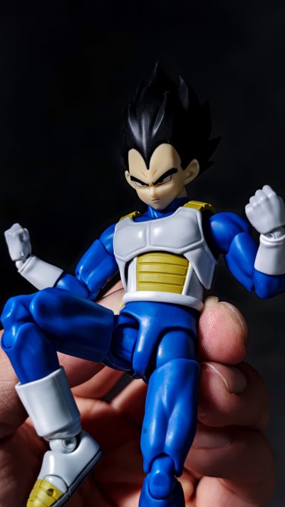 S.H.Figuarts 贝吉塔-龙珠大魔-