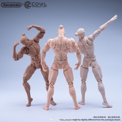 1/12超可动男素体