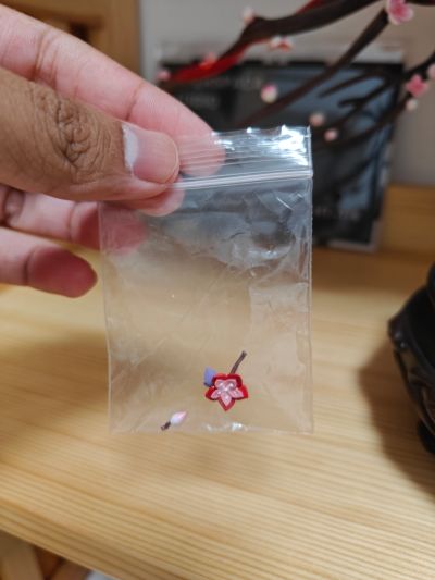 原神 胡桃·雪霁梅香