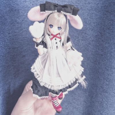 Picco Ex☆Cute / 姫乃 经典兔子 ～爱丽丝漫游派对～ 1.1版 AZONE大阪店开业14周年纪念