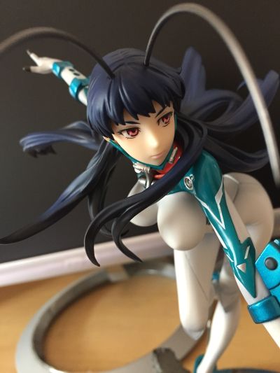 雏蜂 白桦