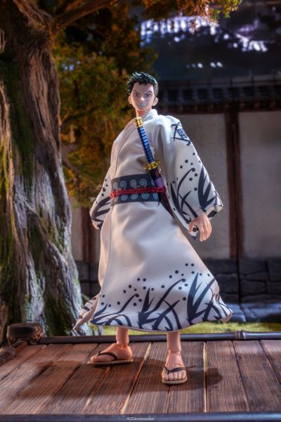 S.H.Figuarts   龙马