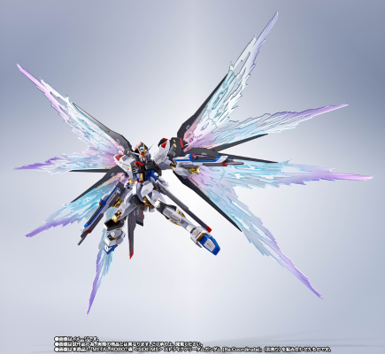 METAL ROBOT魂 ＜机动战士系列＞ 强袭自由高达［Re:Coordinate］专用光之翼与高速火力全开特效配件包