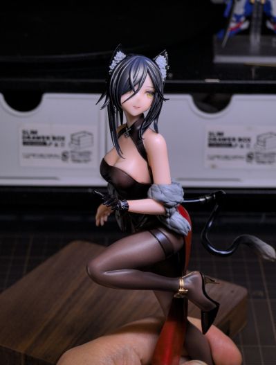 明日方舟 黑 庆典之夜
