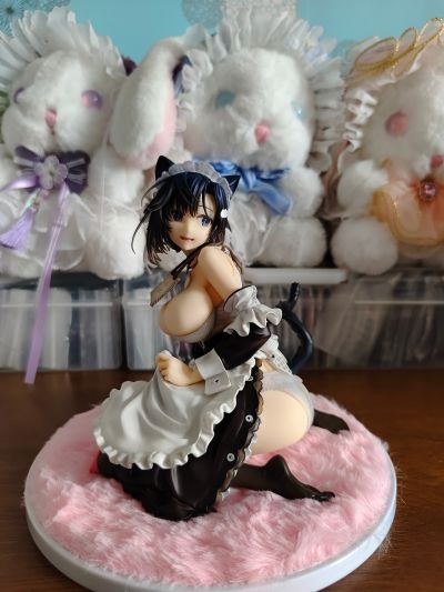 来自未来的采〇少女