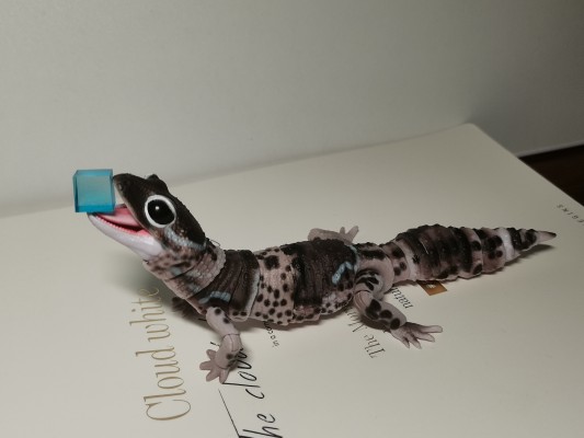 进化生物大图鉴 肥尾壁虎