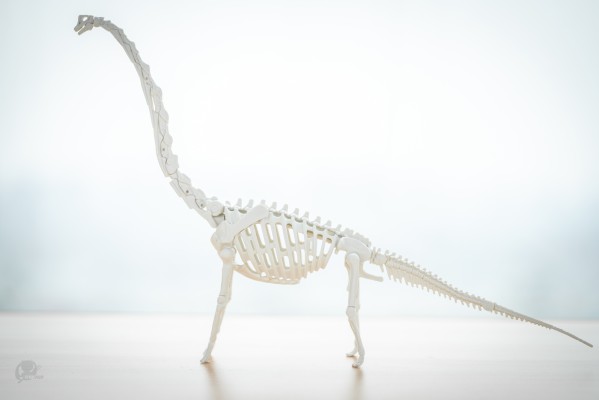 恐龙拼装模型 腕龙