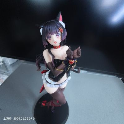 被束缚的猫到货渣拍