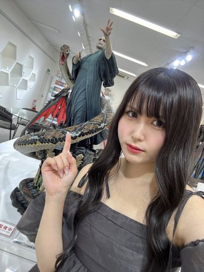 哈利·波特 伏地魔
