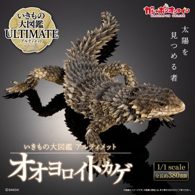 终极生物大图鉴 巨型环尾蜥