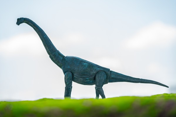 恐龙拼装模型 腕龙