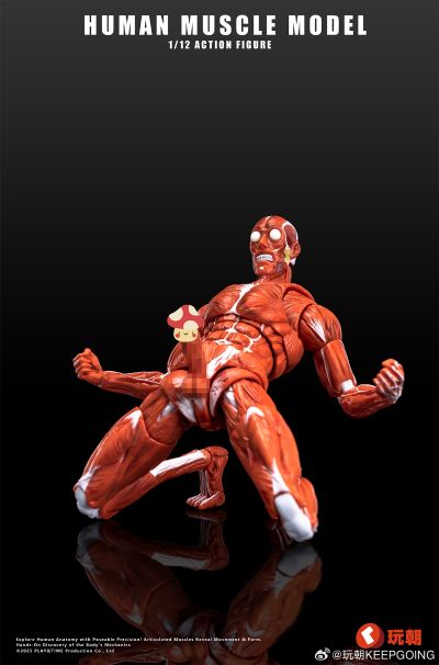 《Human Muscle Model》1:12超可动人偶 红色