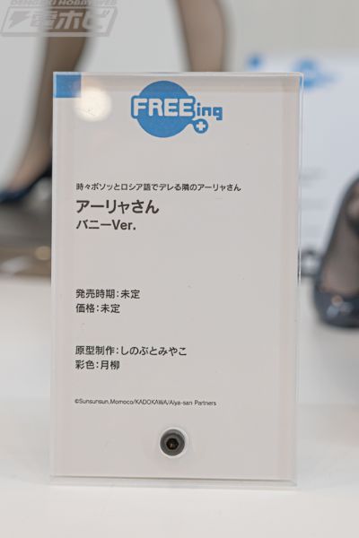 艾莉莎·米哈伊罗夫纳·九条 兔女郎