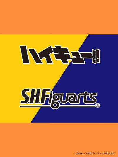 S.H.Figuarts 排球少年 日向翔阳
